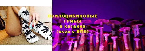 стаф Алексин