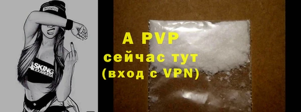 индика Абаза
