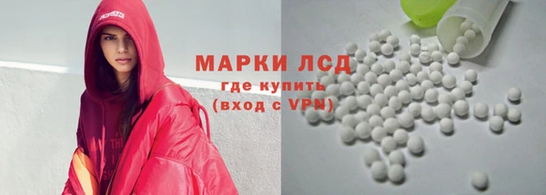 прущие грибы Алзамай