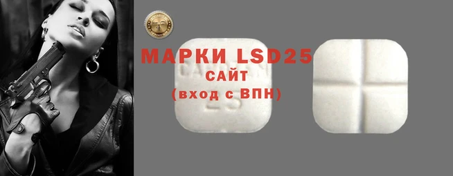 индика Абаза