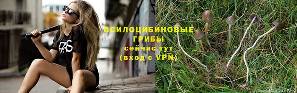 мескалин Абинск