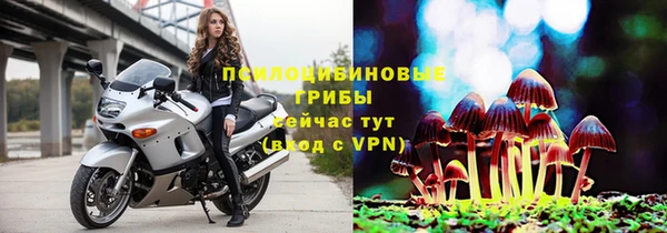 индика Абаза