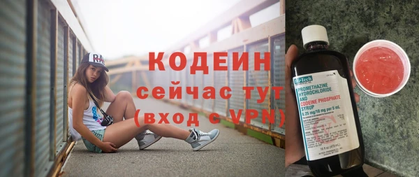 индика Абаза