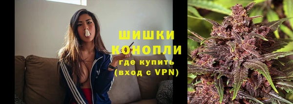 индика Абаза