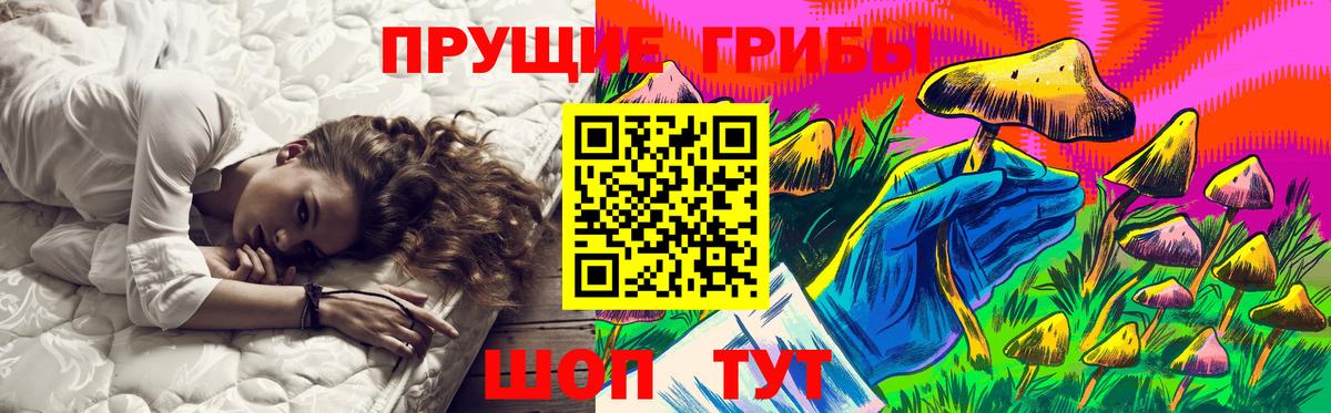 Галлюциногенные грибы Psilocybe Соликамск